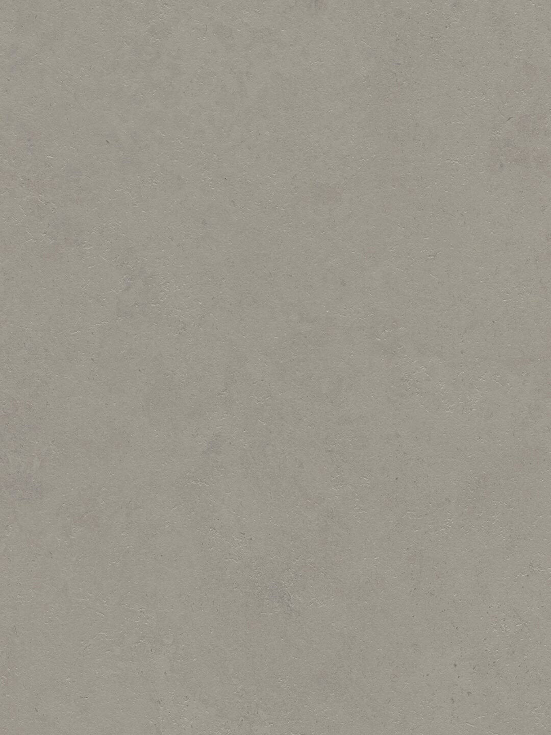 Grey Concrete-Look Decorative Panel – Cleaf®