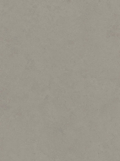 Grey Concrete-Look | Decorative Panel