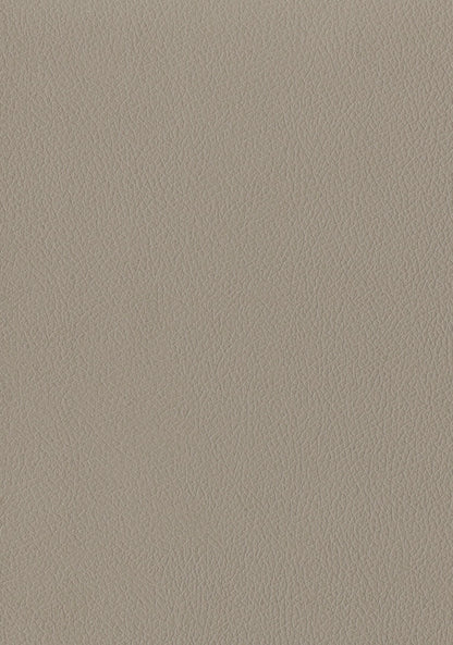 Taupe Leather-Look | Decorative Panel